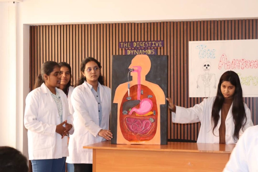 Анатомиялык 3D көргөзмө-конкурс