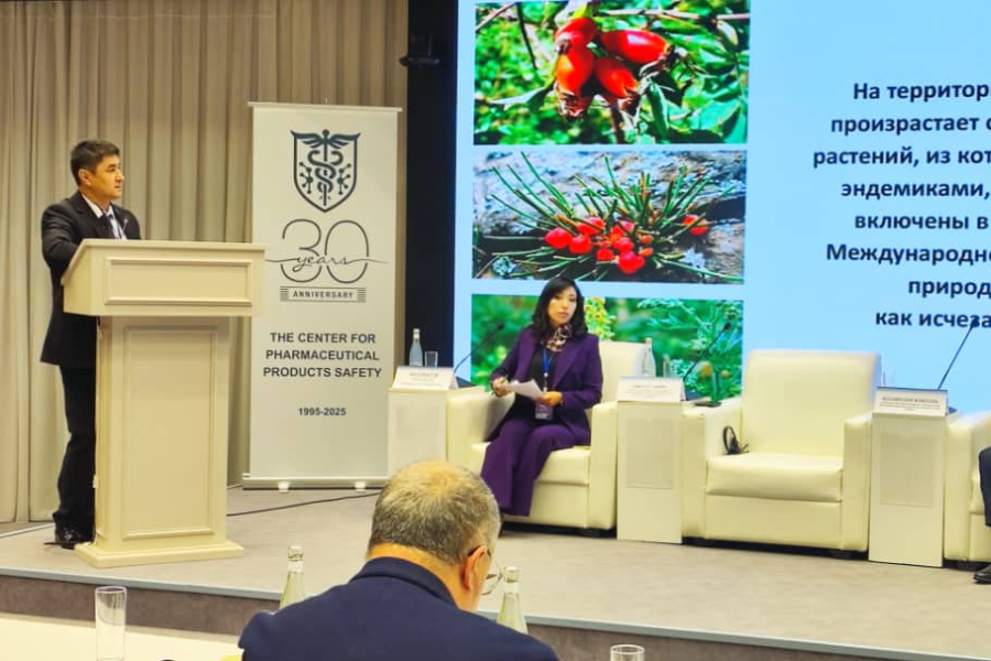 «Абу Али ибн Сино: Чыгыштын бермети – Дүйнөлүк мурас» аттуу эл аралык илимий-практикалык конференция. Өзбекстан Республикасы, Ташкент